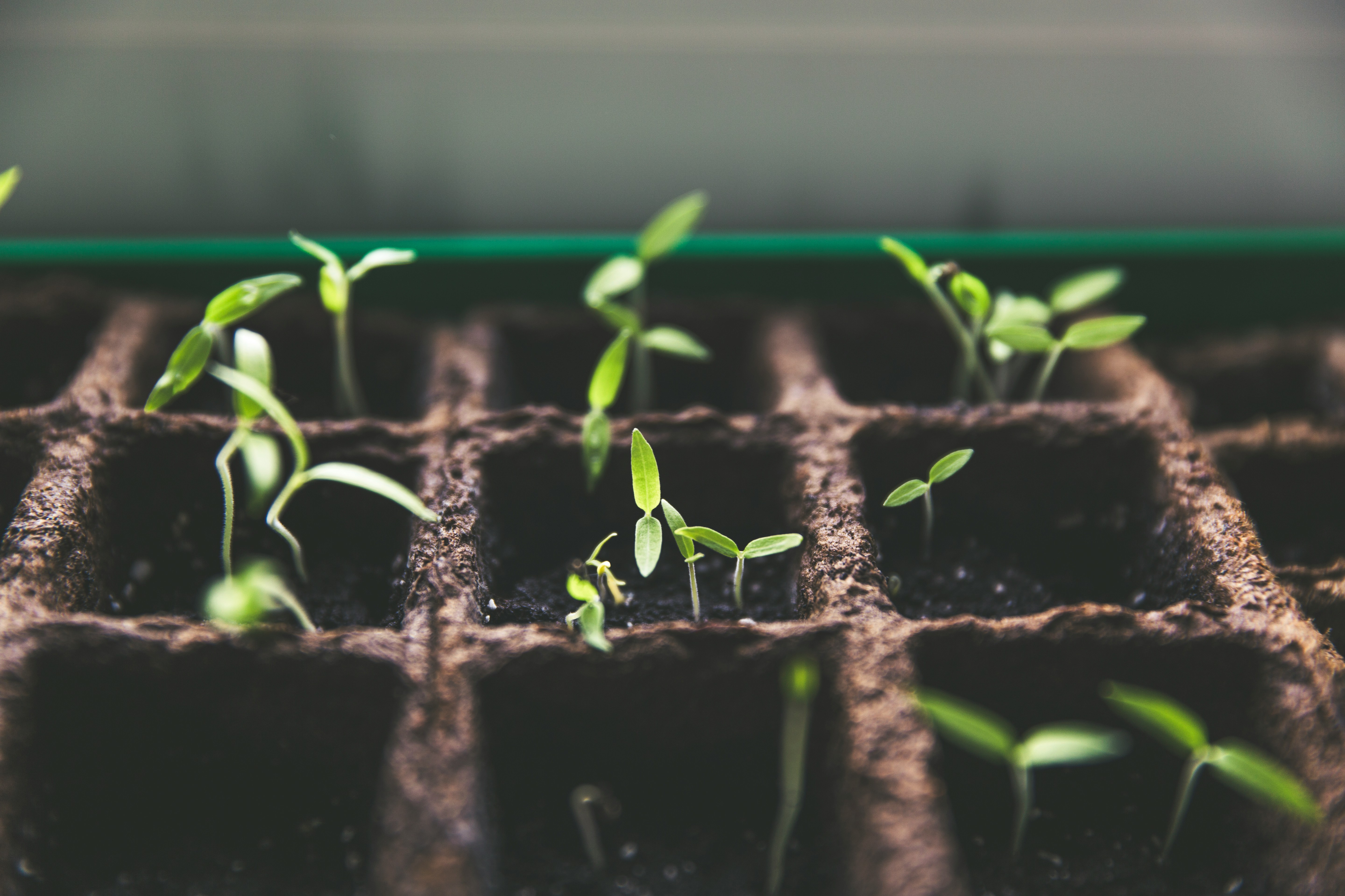 Starting small with behavioural science